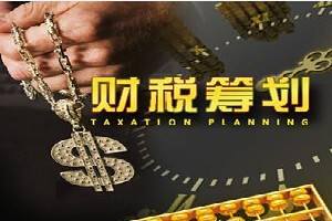 稅務(wù)代理 稅務(wù)代理