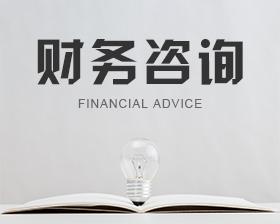 財(cái)務(wù)代理